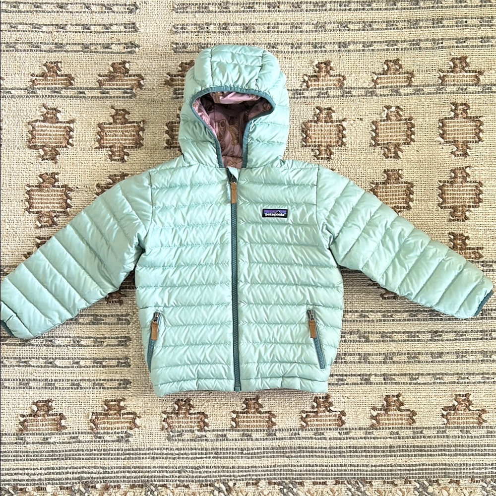 Patagonia Mint Green Puffer Jacket